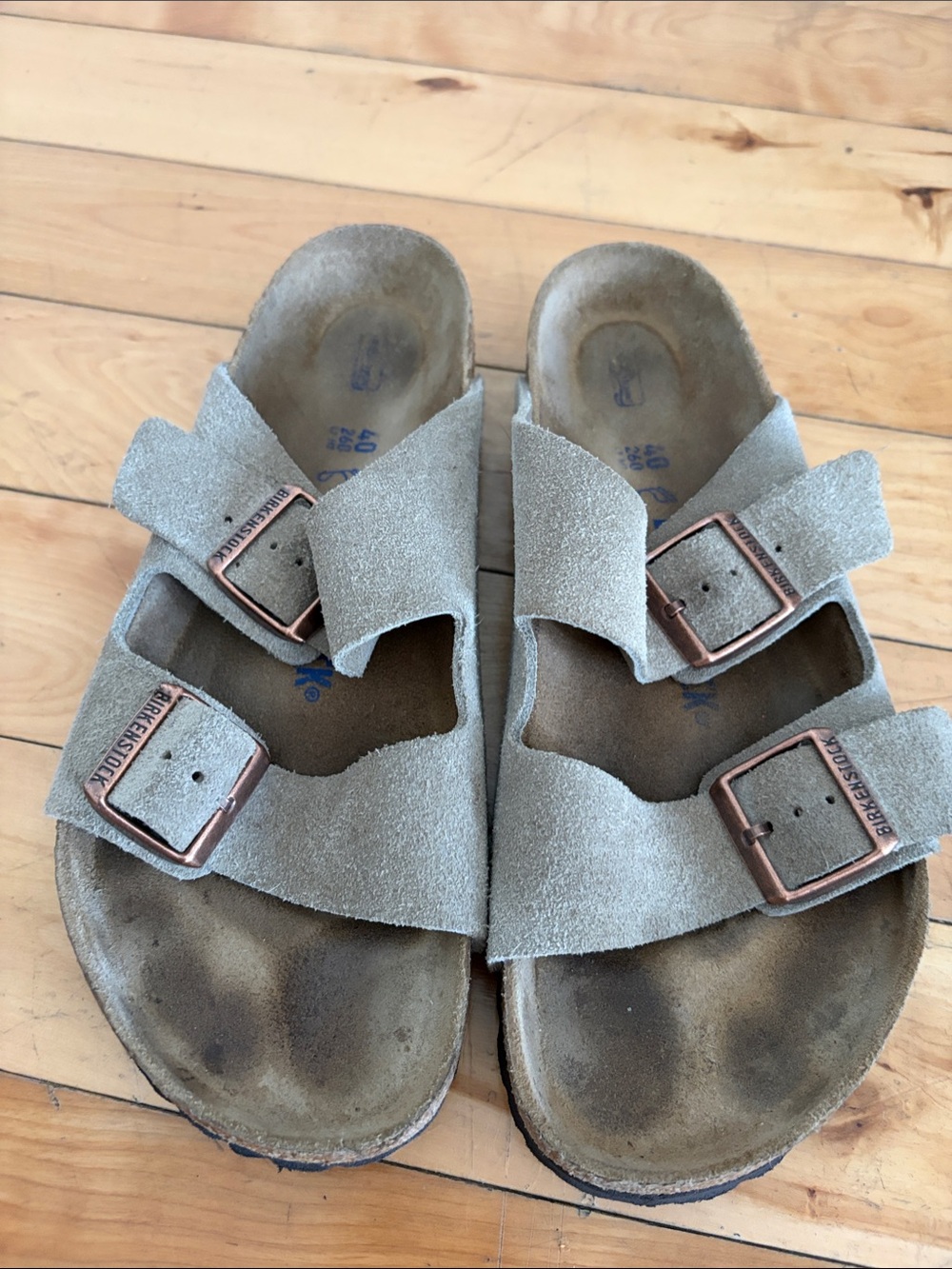 Birkenstock Men/Women Two-Buckle Suede Sandals in Light Gray with Copper Buckles